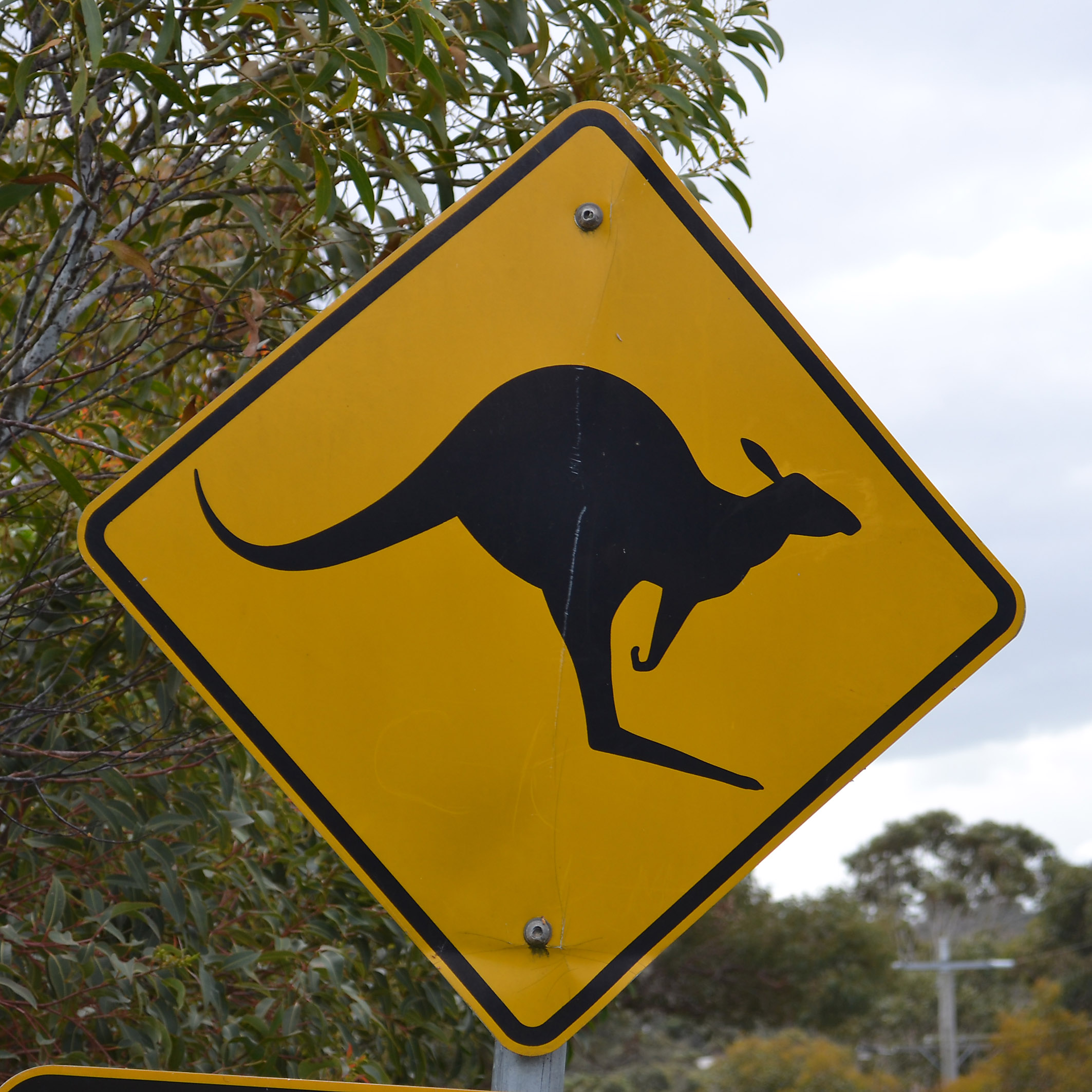 Weltberühmt - eines der Symbole Australiens - und doch nur ein einfaches - sogar leicht verdelltes Straßenschild.  Dennoch war ein Foto absolute Pflicht.  Foto: Christian Maskos