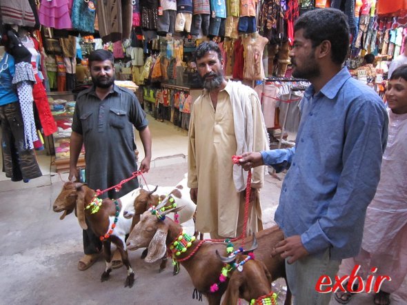 Diese Händler glaubten wirklich, sie könnten uns eine Ziege verkaufen. ©FlyWolf