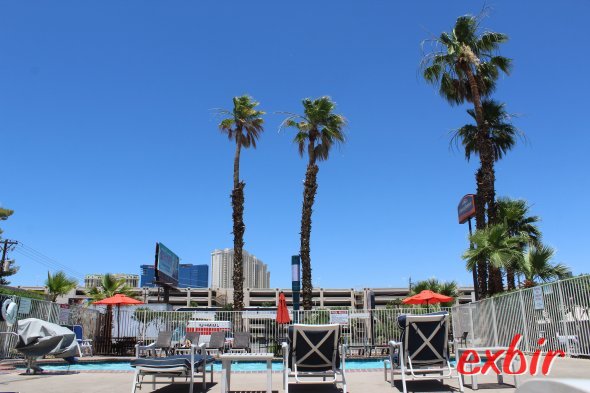 Howard Johnso Tropicana Boulevard Las Vegas Review: Blauer Himmel und Palmen.  Da tut eine Auszeit im Pool gut.  Foto: Christian Maskos