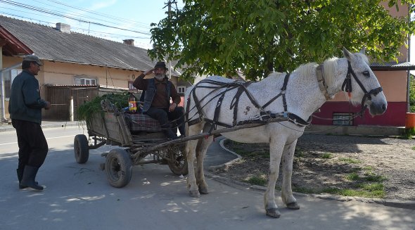 Pferdewagen gehören in Rumänien - wie hier in Turda-  noch zum Straßenbild.  Foto: C. Maskos