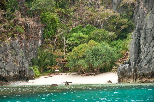 Urwald bis zum Strand, Miniloc Insel, Philippinen