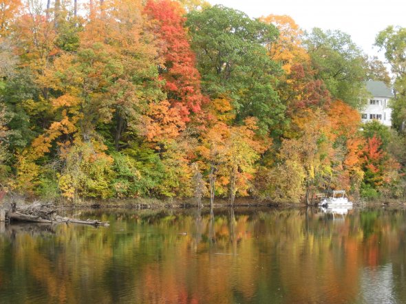 Herbstfarben, Fall Colors  Taken near the island park in Grand Ledge, Michigan.USA