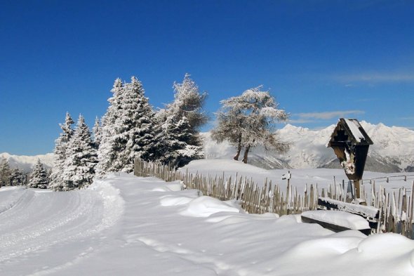 Schneeschuhwandern Südtirol  Winter auf der Rodenecker Alm - Eisacktal - Südtirol